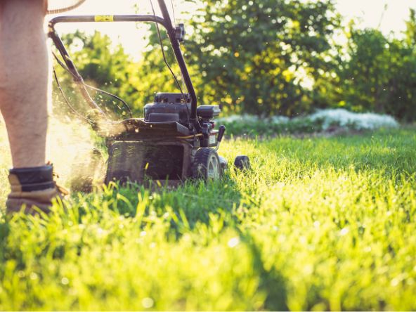 McCardal Home Watch mow grass